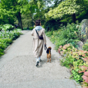 Hundetraining in Hamburg