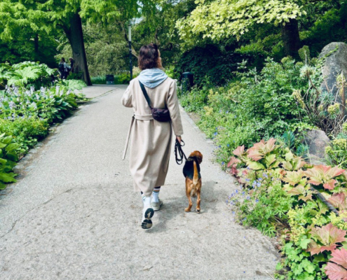 Hundetraining in Hamburg