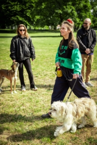 Gruppenkurs in Hamburg mit Freibeuter Hundetraining