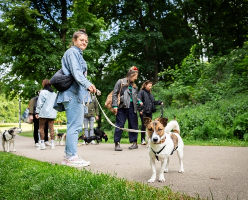 Social Walk St. Pauli mit Freibeuter Hundetraining