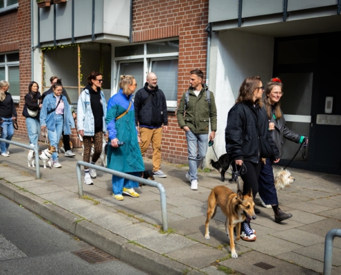 Social Walk St. Pauli mit Freibeuter Hundetraining