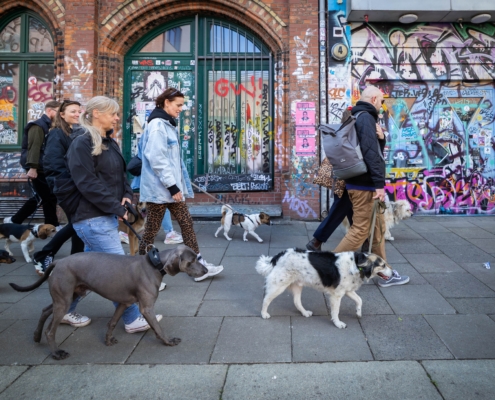 Social Walk St. Pauli mit Freibeuter Hundetraining