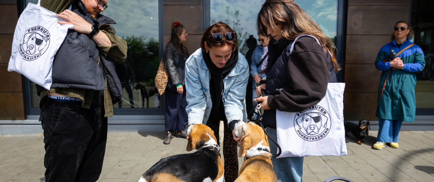 Social Walk St. Pauli Freibeuter Hundetraining