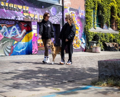 Einzeltraining mit Freibeuter Hundetraining Hamburg