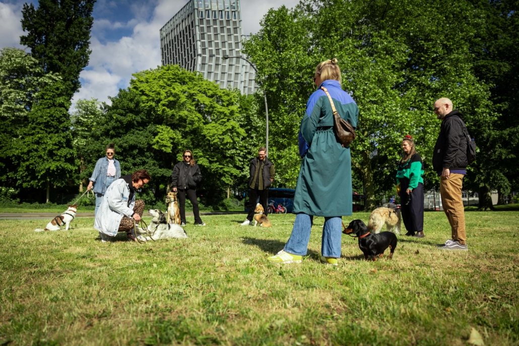 Gruppenkurs Freibeuter Hundetraining Hamburg