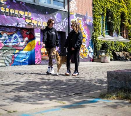 Hundehalterinnen im Gespräch mit ihrem Hund vor einer Graffiti-Wand in Hamburg
