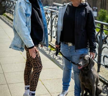 Einzeltraining mit Weimaraner auf einer Terrasse mit Blick auf die Hamburger Skyline