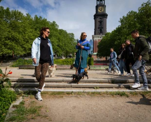 Gruppe mit Hunden beim Social Walk vor Hamburger Kirchturm