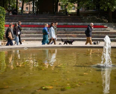 Hundegruppe spaziert am Brunnen im Park entlang