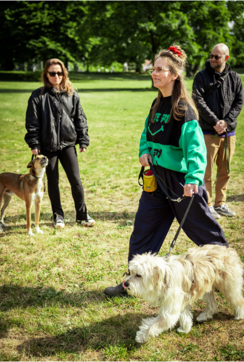 Hundebesitzer beim Training mit ihren Hunden in der Gruppe