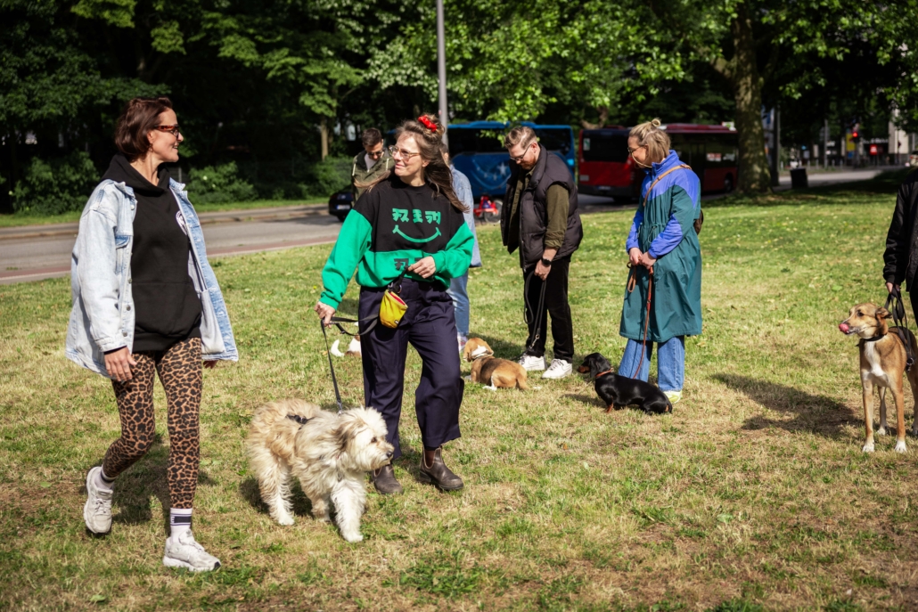 Gruppe im Park die ihre Hunde trainiert